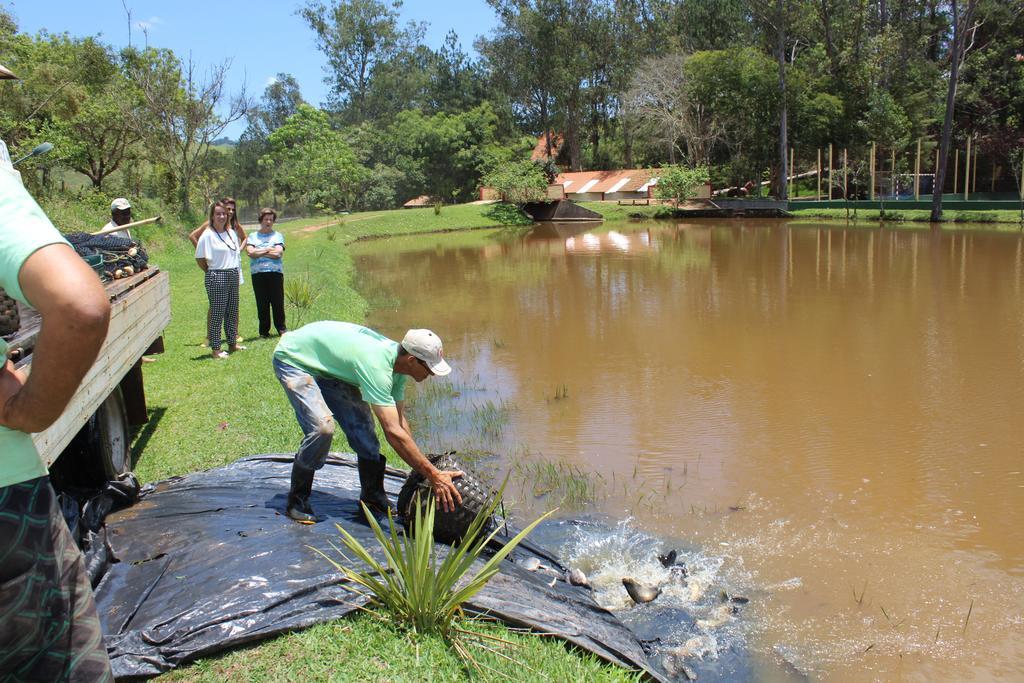 Hotel Fazenda Vista Alegre Sao Lourenco  Dış mekan fotoğraf